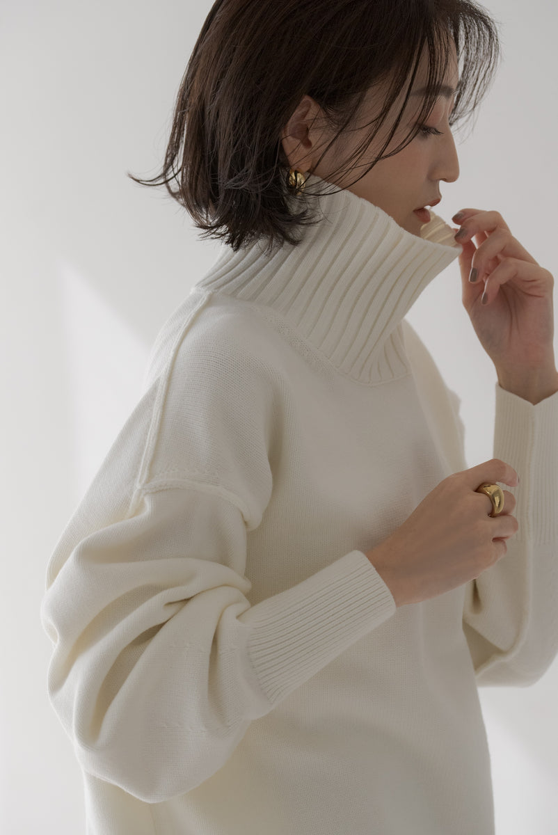 リンキングハイネックニット｜LINKING HIGHNECK KNITの通販｜regleam