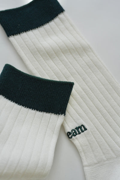 【6月10日(水)20:00〜 販売開始】クラシックリブソックス2P｜CLASSIC RIB SOCKS 2P